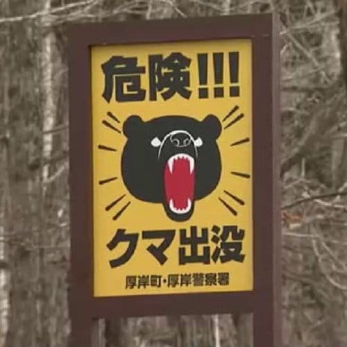 犬の散歩中にクマに襲われケガ（厚岸町が設置した看板）