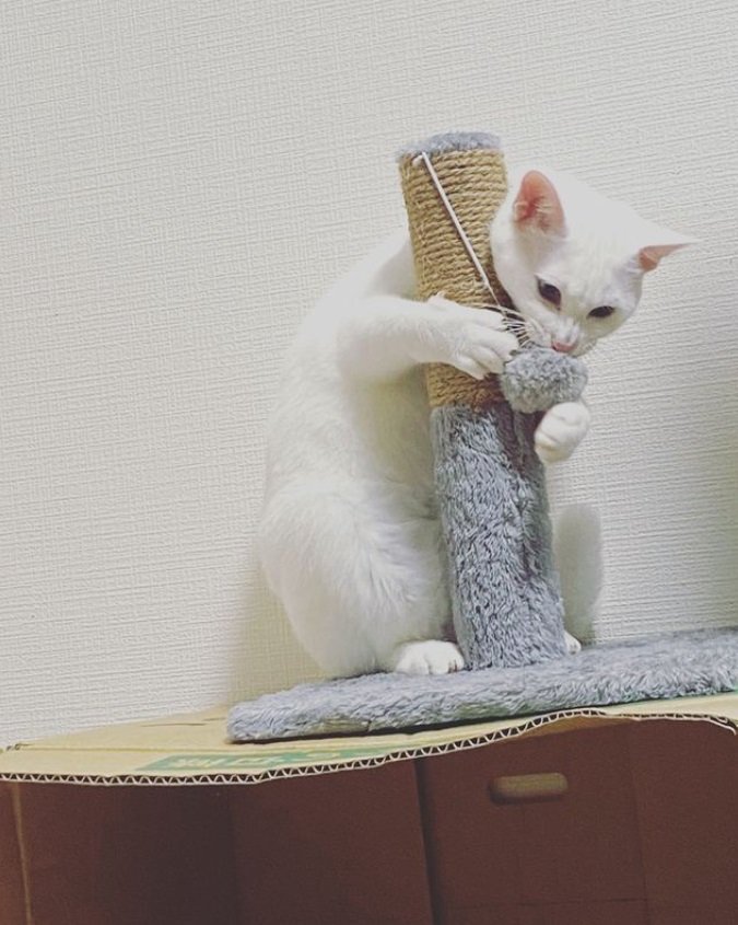 7カ月目、元気なアル君