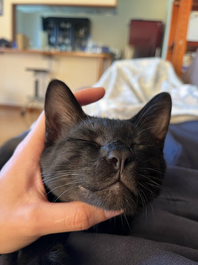 提供：サラミさん