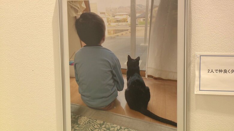 仲良く外を見つめる子どもと猫