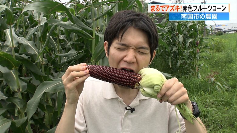 田村アナウンサーが実際に食べてみました