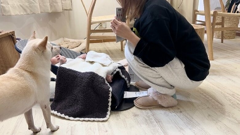 息子さんへの読み聞かせに仲間入りするまめたちゃん