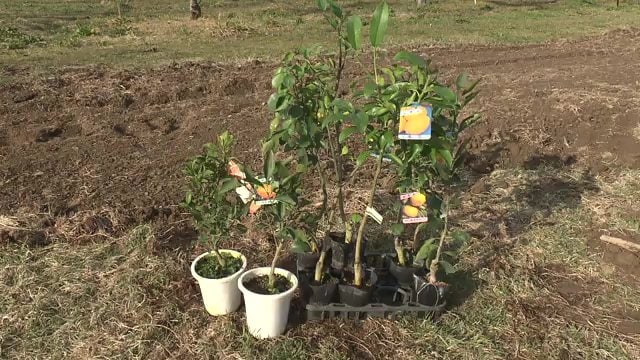 大プロジェクトが始まる