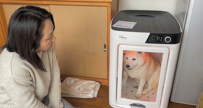 提供：しばわんこ生活さん