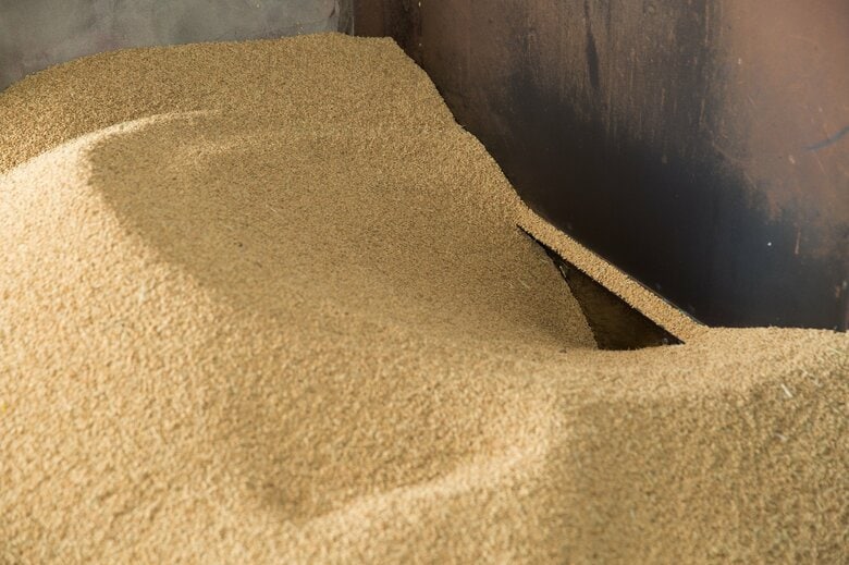 精米前の玄米に潜んでいる可能性がある（画像はイメージ）