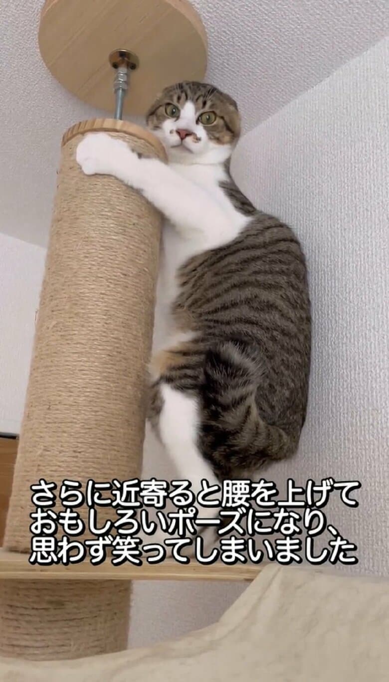 さらに近づくと、腰を浮かせて逃げ腰になってしまっていた