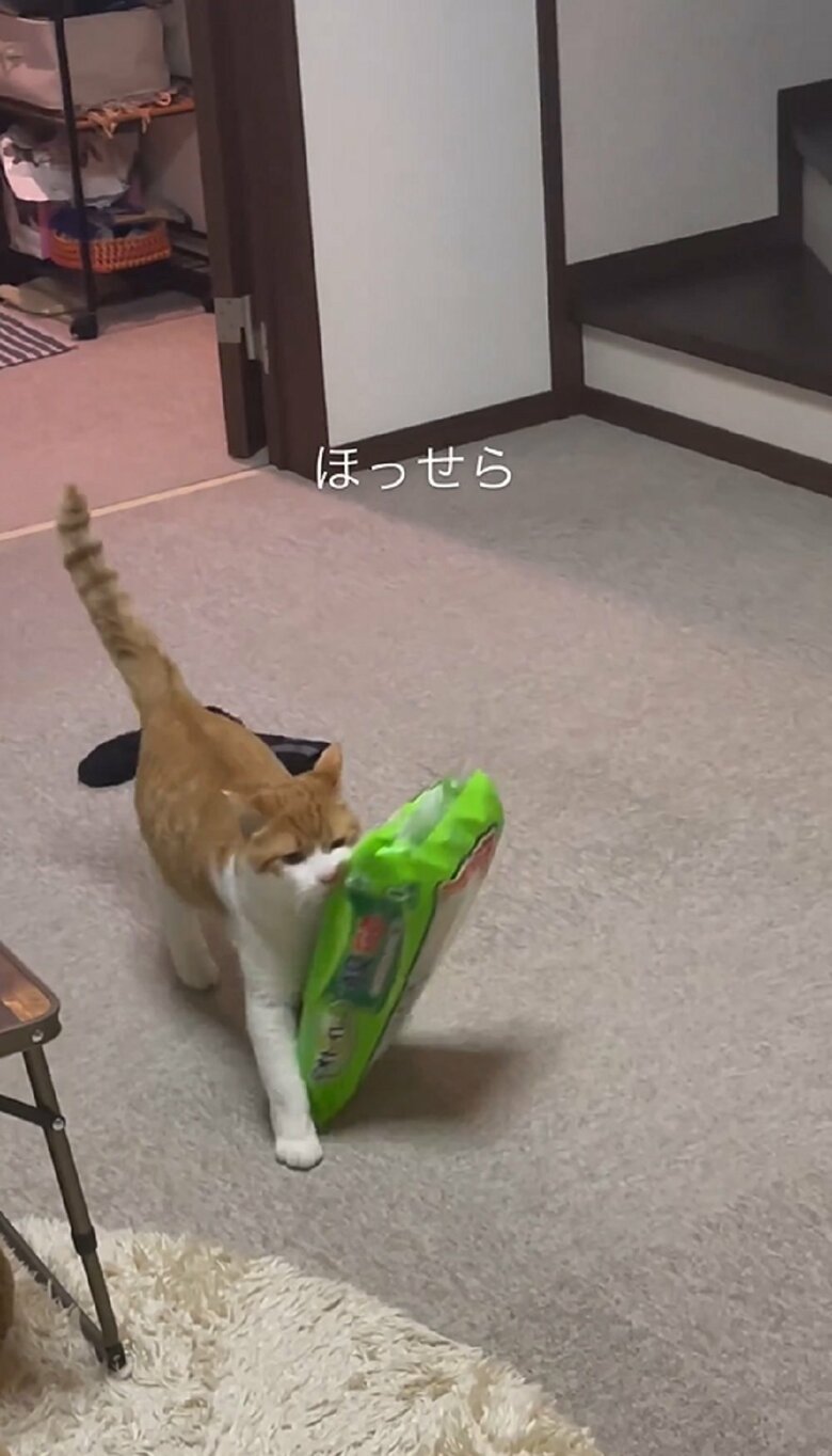 えっせらほっせら