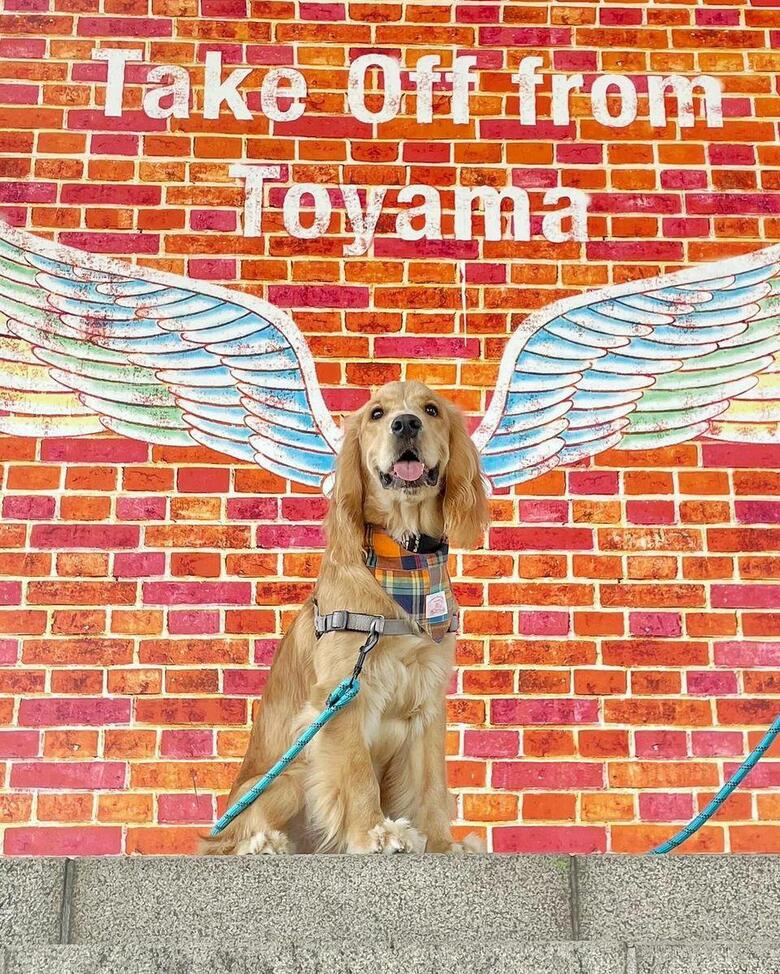 提供：関口和也さん