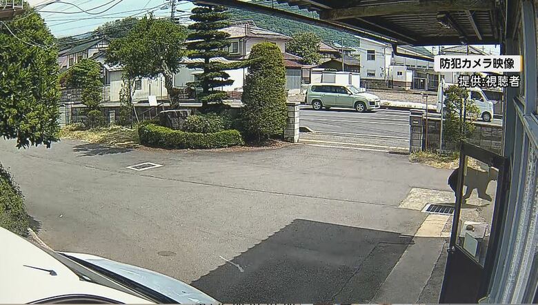 防犯カメラの映像（提供：視聴者）