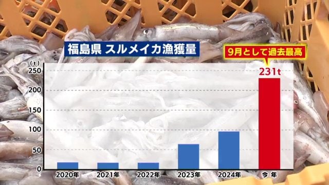 福島県のスルメイカ漁獲量　9月として過去最高となった2025年