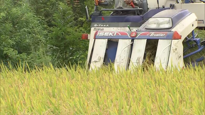 新米の収穫が始まっている
