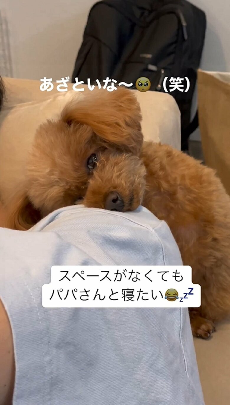 再びコテン　眠たいようだ