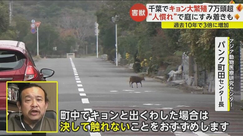狂犬病やマダニなどの感染リスクがあるという