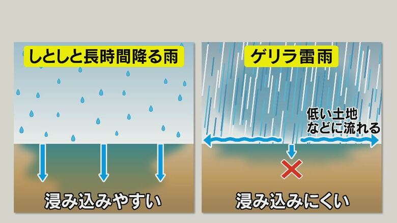 岸本慎太郎 気象予報士の解説