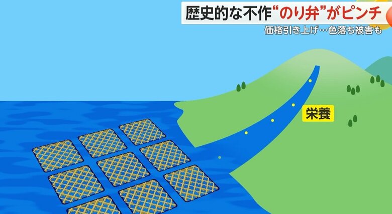 まとまった雨が少なく成長に必要な栄養分が山から十分に届かなかったという