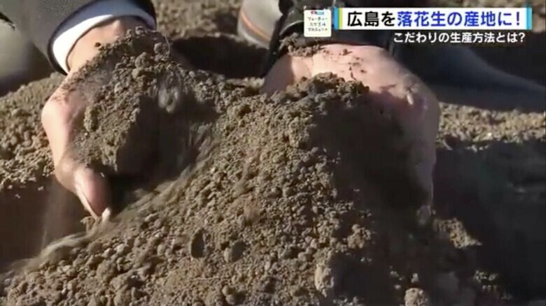 水分調節された、ふかふかの土