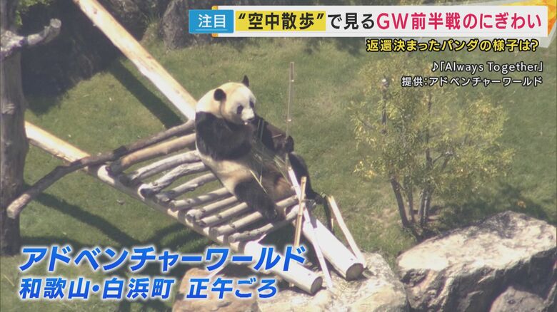 アドベンチャーワールドのパンダさん