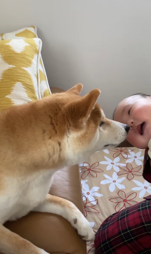 提供：torakichi602さん