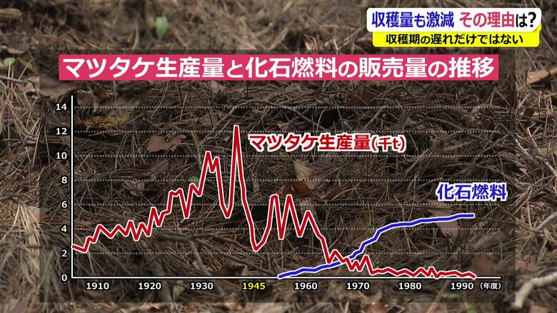 マツタケの生産量と化石燃料の販売量の推移のグラフ