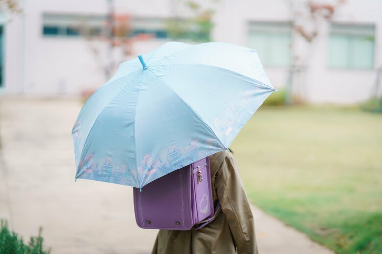 提供：株式会社ハシモト
