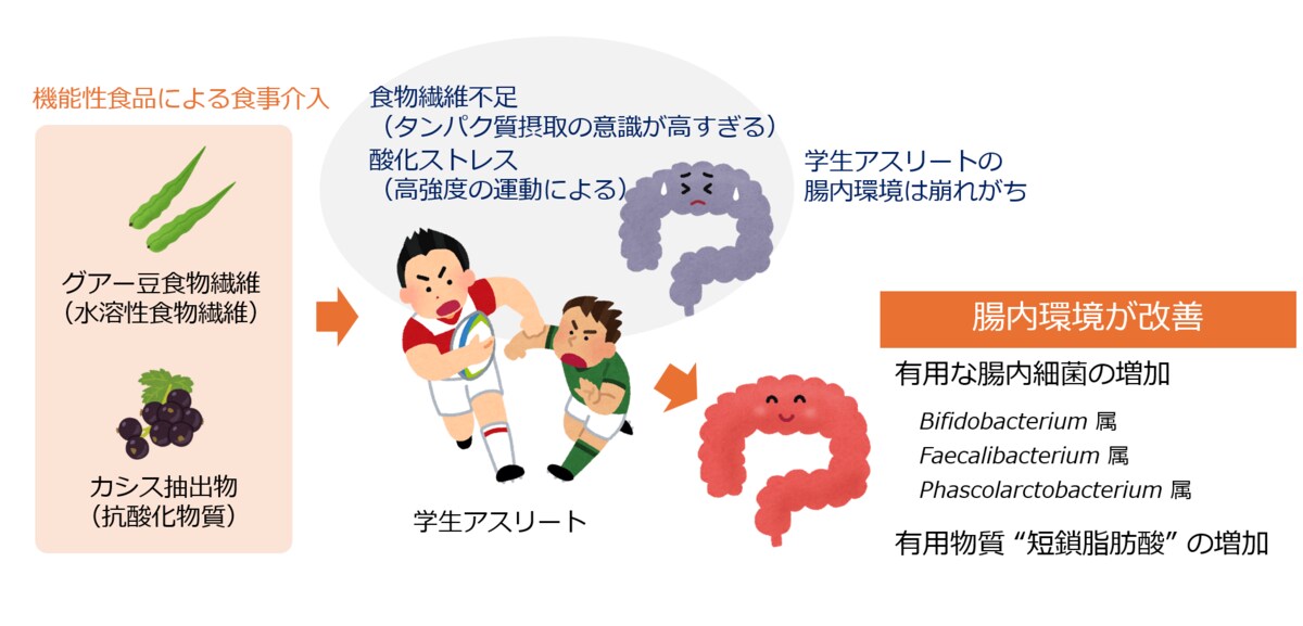 摂南大学】学生アスリートの腸内環境が機能性食品で改善