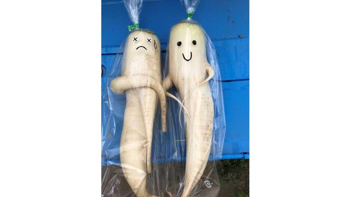 形が悪い 大根に顔を描いて 食品ロス削減 素敵なアイデアの農家に聞いた