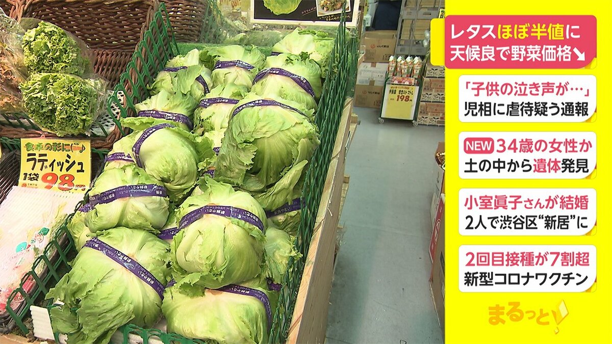 レタスほぼ半値に 天候良で野菜価格安く