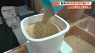 2026年は古米より「新米」が安い！？値上げラッシュの裏で“お米”が大量に余る可能性【高知】