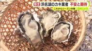 国内有数のカキ・ホタテの産地で不作…原因は水温の上昇か　シーズン本番を迎える浜名湖のカキの状況は