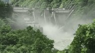 “海の掃除屋”が増殖した理由は…?黒部川ダム排砂問題で揺れる地元の漁師たち