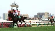 【札幌2歳ステークス】ショウナンガレオンが6馬身差の圧勝で重賞制覇　鮫島騎手「大きいところを取れる馬だと思うので、しっかり一緒に頑張っていきたい」