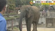“大移動”から多くの命誕生まで　県立とべ動物園 35年の歴史振り返り【愛媛発】