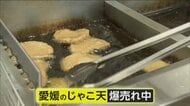 「うちの知事が失礼しました」秋田県知事「貧乏くさい」失言後…愛媛のじゃこ天“爆売れ”　6割が秋田県民　愛媛
