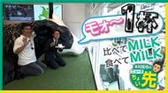 6月は「牛乳月間」疑似搾乳体験や牛乳飲み比べなど…北海道の酪農家によるアンテナショップ　東京・自由が丘