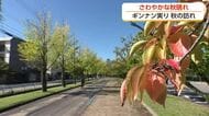 10月1日の富山は汗ばむ陽気に　夜は雨に注意、「過ごしやすい秋」が続く見込み【ソラをライブ】