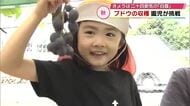 秋の気配感じる“白露”　園児が秋の味覚ブドウを収穫「でかいのとれました」大分