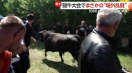 伝統的な闘牛大会でまさかの“場外乱闘”　誤って開いたままの扉から牛2頭が会場の1000人の群衆目がけ突進　ボスニア・ヘルツェゴビナ