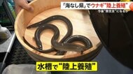 二の丑“変わり種”うなぎサンドが浅草で人気…「海なし県」埼玉でウナギ約3万匹を“陸上養殖”　輸入7割の“救世主”になるか