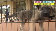 イヌの殺処分数「ワースト」の香川県 コロナ禍で”ある危機”に直面…【香川】