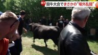 伝統的な闘牛大会でまさかの“場外乱闘”　誤って開いたままの扉から牛2頭が会場の1000人の群衆目がけ突進　ボスニア・ヘルツェゴビナ