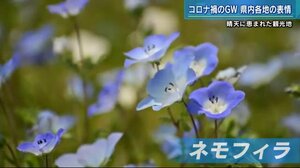 宮島はコロナ以前並みの人出 感染対策下のGW各地の表情 広島