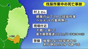 伐採作業中の男性死亡 強風で木が倒れたか <岩手・一関市>