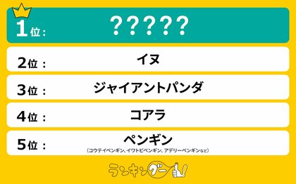 可愛い動物ランキングを調査!1,151票を獲得し1位に選ばれたのは…?