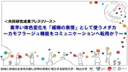 素早い体色変化を「威嚇の表情」として使うメダカ~カモフラージュ機能をコミュニケーションへ転用か?~〔東北大学、岡山大学〕