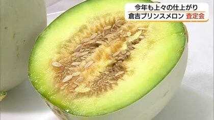 倉吉特産「プリンスメロン」新規就農者参入で出荷量3倍へ「まろやかな甘み」味わって（鳥取）