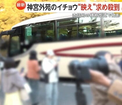 「車来てます！下がって！」神宮外苑イチョウ並木に“映え”求め殺到…赤信号の横断歩道や車道中央でも撮影　六本木“イルミ”は警備員増員