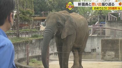 “大移動”から多くの命誕生まで　県立とべ動物園 35年の歴史振り返り【愛媛発】