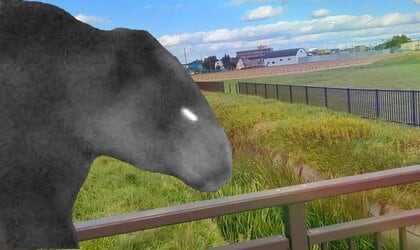 【ヒグマ速報】札幌市内のあちこちでクマ出没・緊張走る― 西区山の手では2時間で2度目撃 『クリの木』が惹きつけたか？ 4年前に4人負傷した東区では再び用水路付近に出没か〈北海道札幌市〉