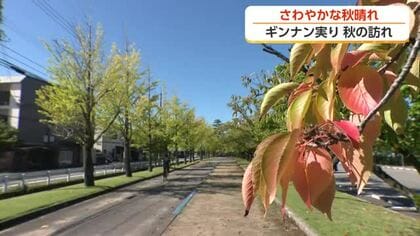 10月1日の富山は汗ばむ陽気に　夜は雨に注意、「過ごしやすい秋」が続く見込み【ソラをライブ】