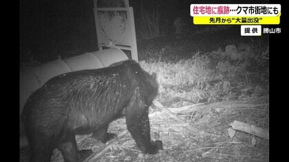 「夜は怖くて外に出れられない…」福井でクマの出没が2022年の7倍　住宅近くに足跡と爪痕も